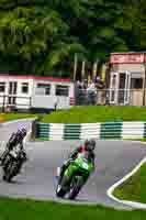 Lower Group Green Bikes